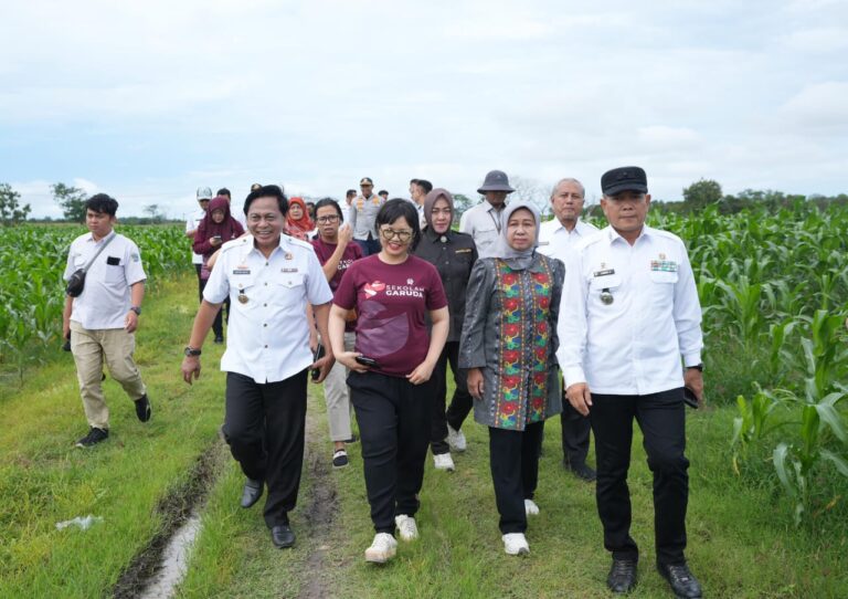 WhatsApp-Image-2025-10-22-at-11.46.31-768x542